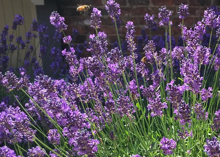 Semesterbostad Centre Luxury House With Outdoor Bath And Parking